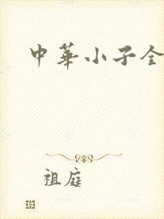 中华小子全集