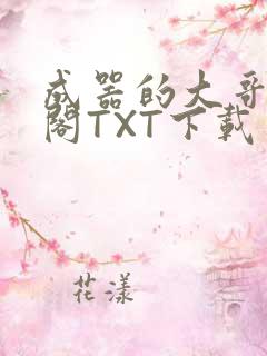 成器的大哥笔趣阁TXT下载