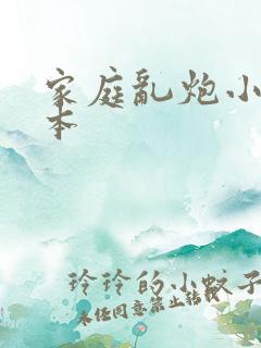 家庭乱炮小说全本