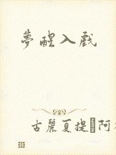 梦醒入戏