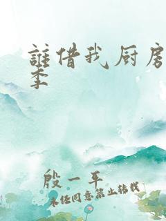 谁借我厨房第三季