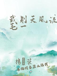 武则天风流艳情毛一