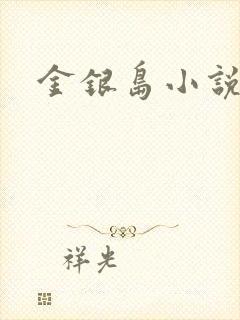 金银岛小说