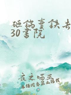 砸锅卖铁去上学30书院