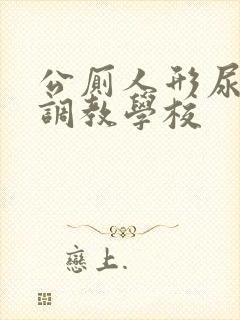 公厕人形尿便器调教学校