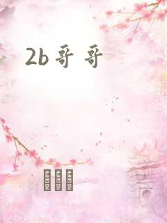 2b哥哥