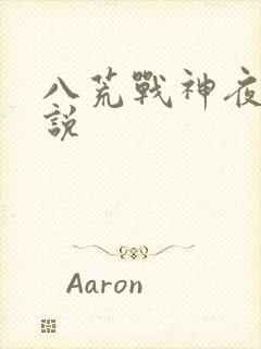 八荒战神夜麟小说