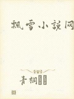 飘雪小说网