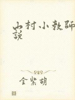 山村小教师 小说