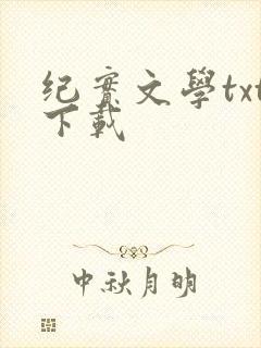 纪实文学txt下载