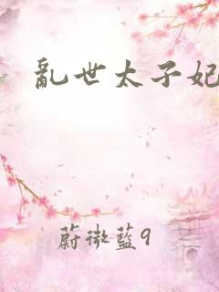 乱世太子妃