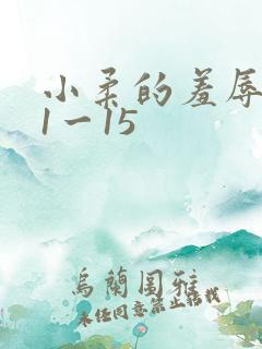 小柔的羞辱日记1一15