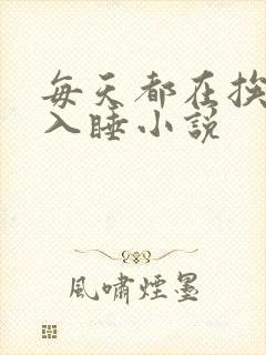 每天都在挨龠中入睡小说