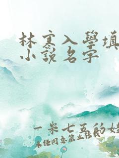 林寒入学填未婚小说名字
