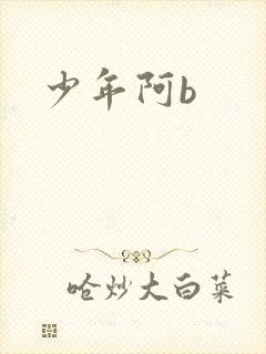 少年阿b