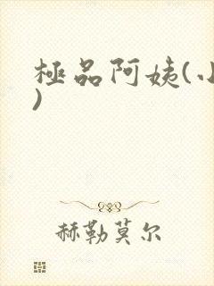 极品阿姨(小说)