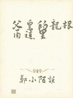 父皇的龙根在我甬道里