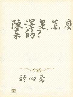 陈泽是怎么火起来的?