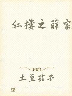 红楼之薛家有子