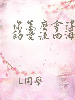 你怎么舍得让我的爱流向海
