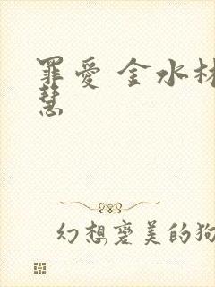 罪爱 金水林晓慧