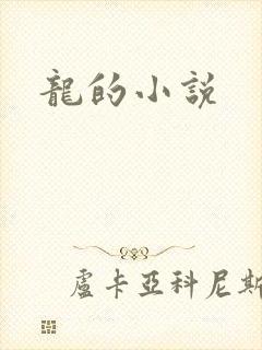 龙的小说