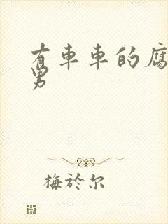 有车车的腐肉双男