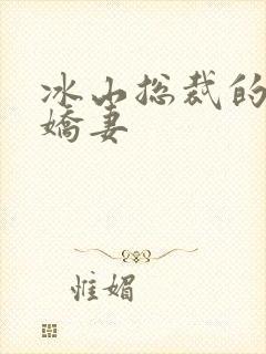 冰山总裁的掠爱娇妻