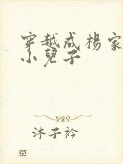 穿越成杨家将最小儿子