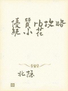 优质rb攻略系统小花