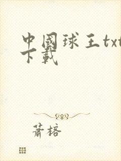 中国球王txt下载
