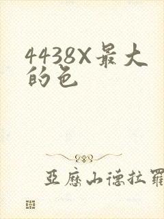 4438X最大的色