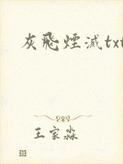 灰飞烟灭txt