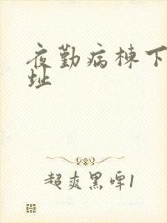 夜勤病栋下载地址