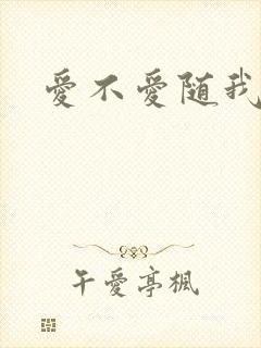 爱不爱随我