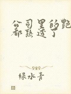 公司里的艳妇们都熟透了