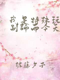 我是特殊玩具定制师而今天的客户