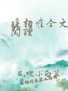 暖相催全文免费阅读