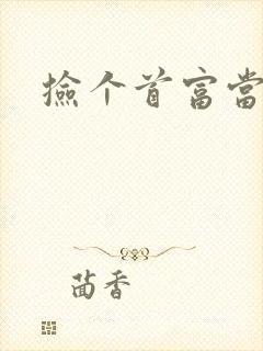 捡个首富当姑爷