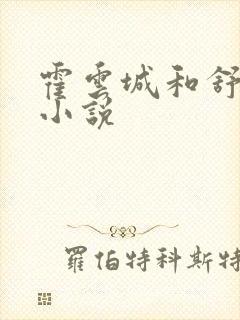 霍云城和舒情的小说