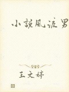 小说风流男护理