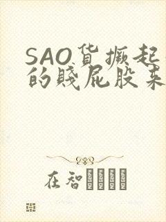 SAO货撅起你的贱屁股来