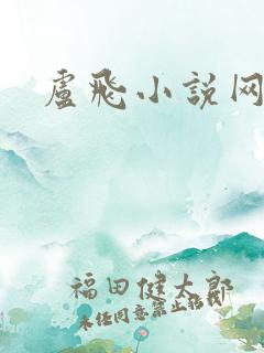 卢飞小说网
