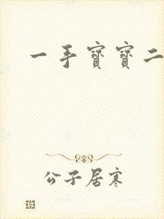 一手宝宝二手妻