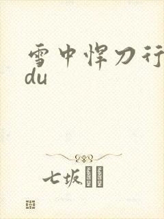 雪中悍刀行sodu