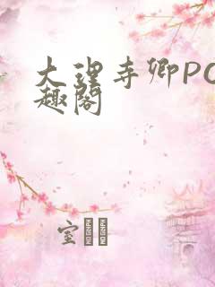 大理寺卿PO笔趣阁