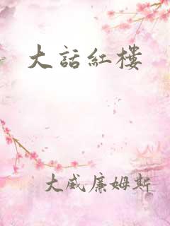 大话红楼