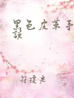 黑色皮革手册小说