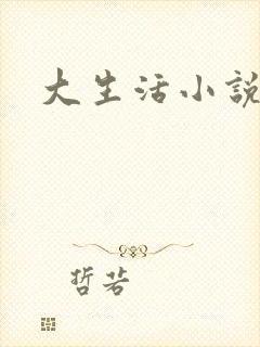 大生活小说