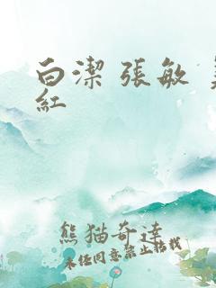 白洁 张敏 美红